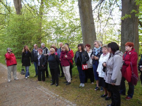 Velké Losiny 1 (29)